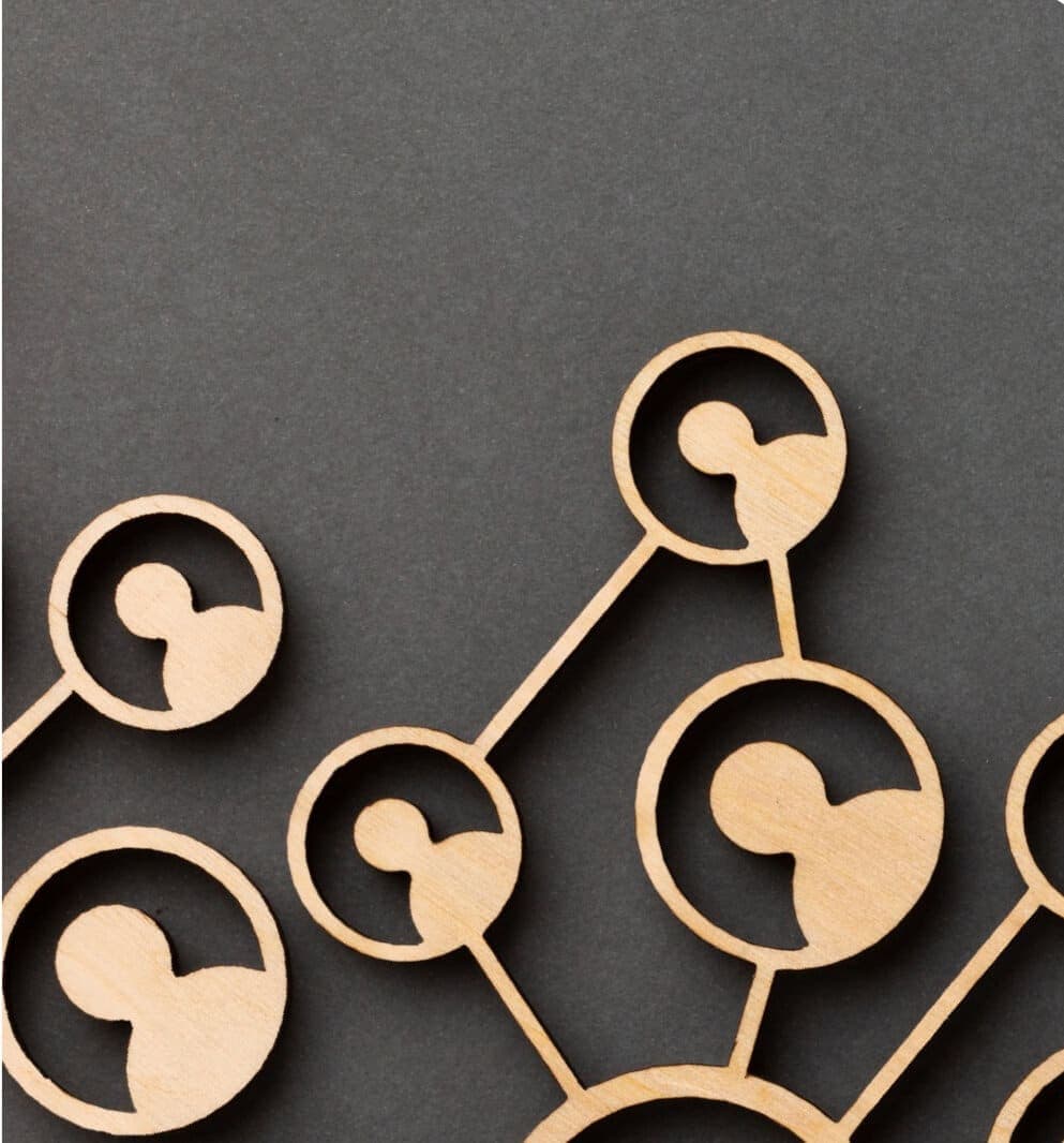 6. Change Agent Network