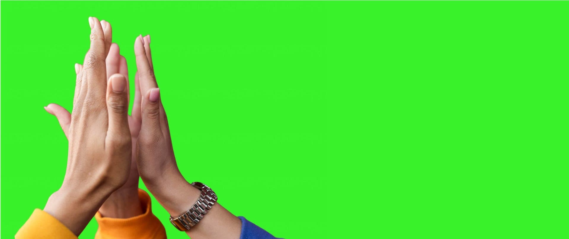 Mehrere Hände treffen sich zu einem High Five vor grünem Hintergrund